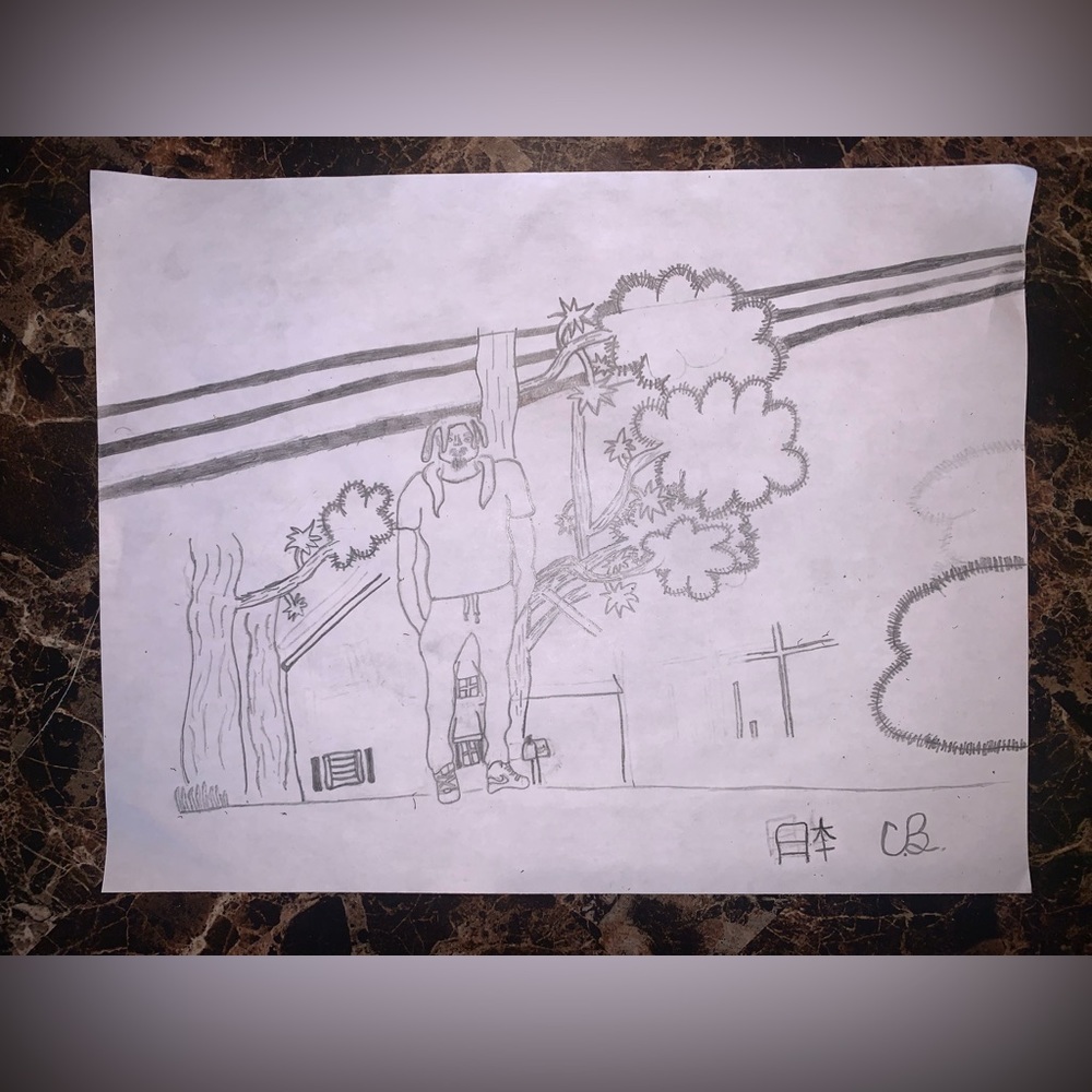 Illustration/Hyperrealism Shapeshifters/Hengeyokai Drawing Art……